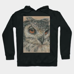 Portrait of an Owl Hoodie